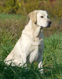 Charlie